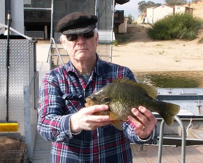 Roy Allen 9 Jan 15 2 2 pound Sunfish (2).jpg